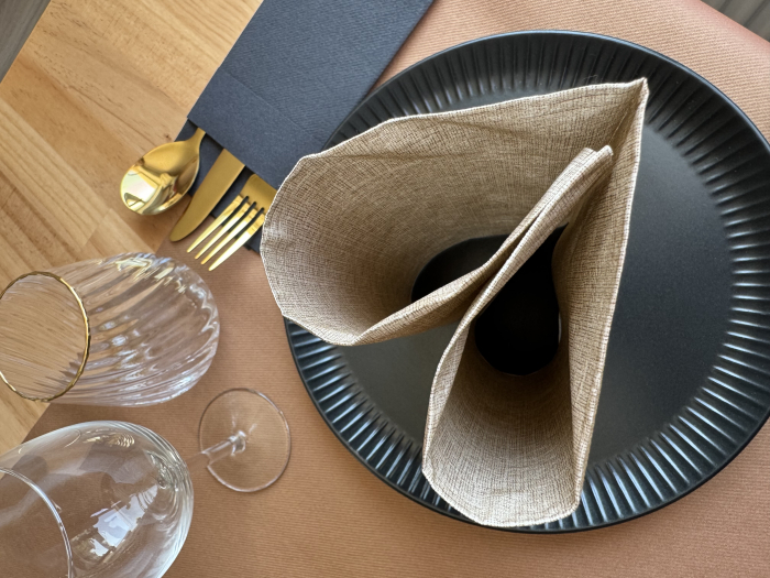 Servetele de masa festive gama Spanlin Bio (100% biodegradabile) - Reed (bej, linii fine maro) / 40 x 40 cm / 30 buc [5]