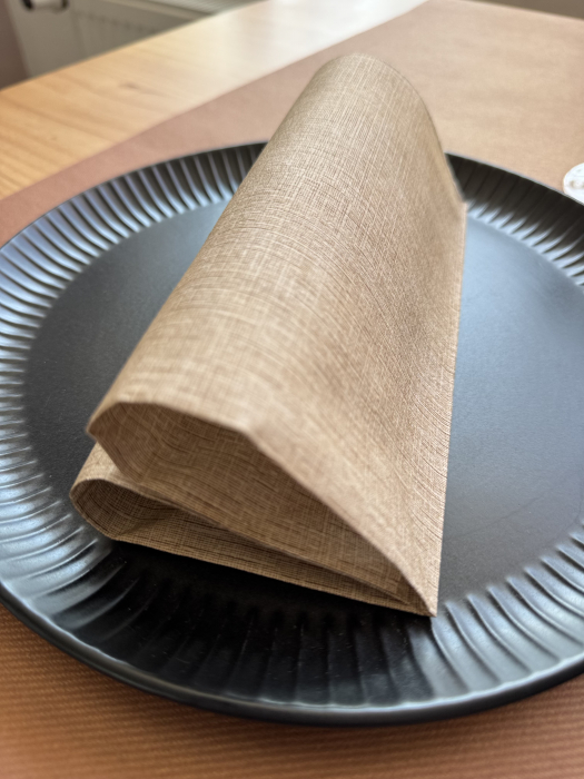 Servetele de masa festive gama Spanlin Bio (100% biodegradabile) - Reed (bej, linii fine maro) / 40 x 40 cm / 30 buc [4]