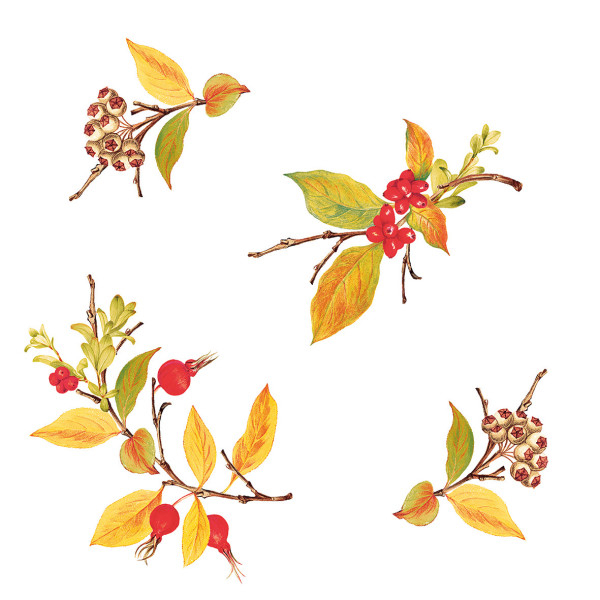 Servetele de masa festive Linclass - Kristina (coronita de toamna, dovleac) / 40 x 40 cm / 50 buc [3]