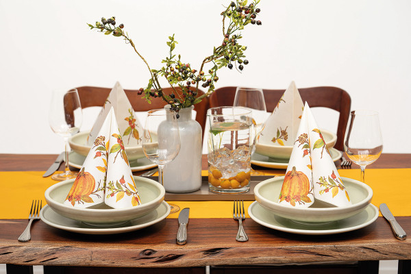 Servetele de masa festive Linclass - Kristina (coronita de toamna, dovleac) / 40 x 40 cm / 50 buc [2]