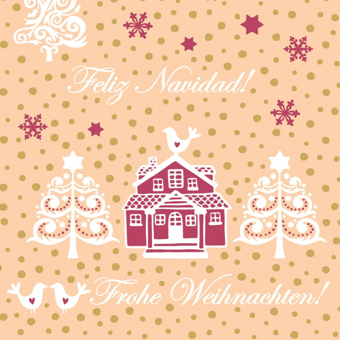 servetele de masa pentru Craciun [1]