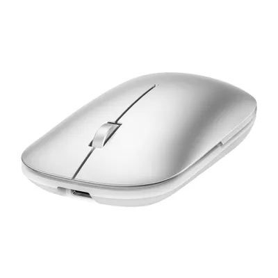 Mouse Wireless Magic Pro – Silver [1]