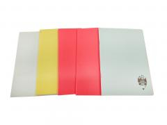 Caiete - Caiet A5 matematica 48 file coperta plastic caiet scoala rezistent