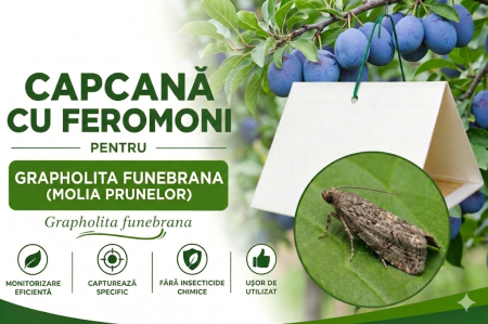 Produse - Capcană Feromonală pentru Molia Prunelor (Grapholita funebrana)
