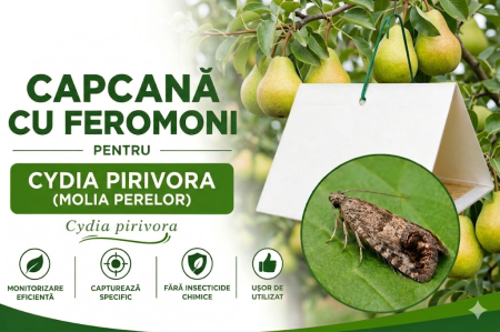 Produse - Capcană cu Feromoni pentru Molia Perelor (Cydia pirivora)