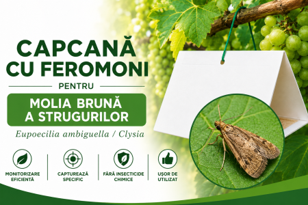 Produse - Capcană cu Feromoni pentru Molia Brună a Strugurilor (Eupoecilia ambiguella / Clysia)