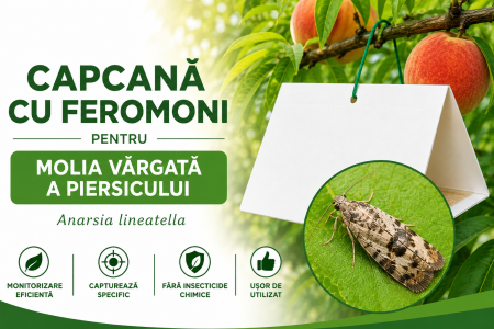 Produse - Capcană cu Feromoni pentru Molia Vărgată a Piersicului (Anarsia lineatella)