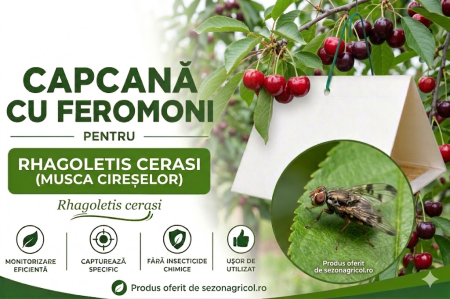 Produse - Capcană cu Feromoni pentru Musca Cireșelor (Rhagoletis cerasi)