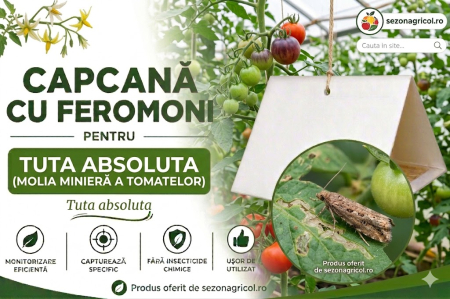 Produse - Capcană cu Feromoni pentru Tuta absoluta (Molia minieră a tomatelor)
