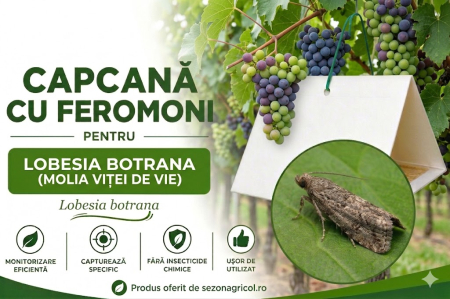 Produse - Capcană Feromonală – Molia Viței de Vie (Lobesia botrana)