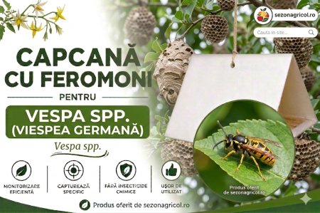 Produse - Capcană Feromonală pentru Viespea Germană (Vespa spp., Vespa germanica)