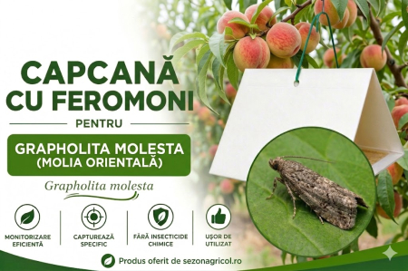 Produse - Capcană Feromoni Molia Orientală (Grapholita molesta)