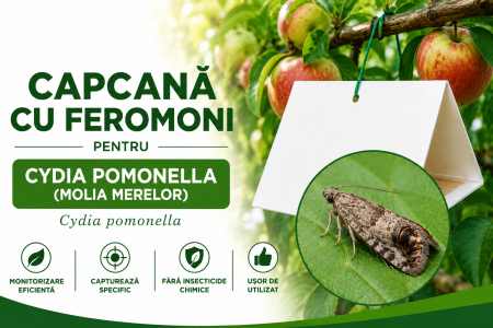 Produse - Capcană Feromoni Viermele Mărului (Cydia pomonella)
