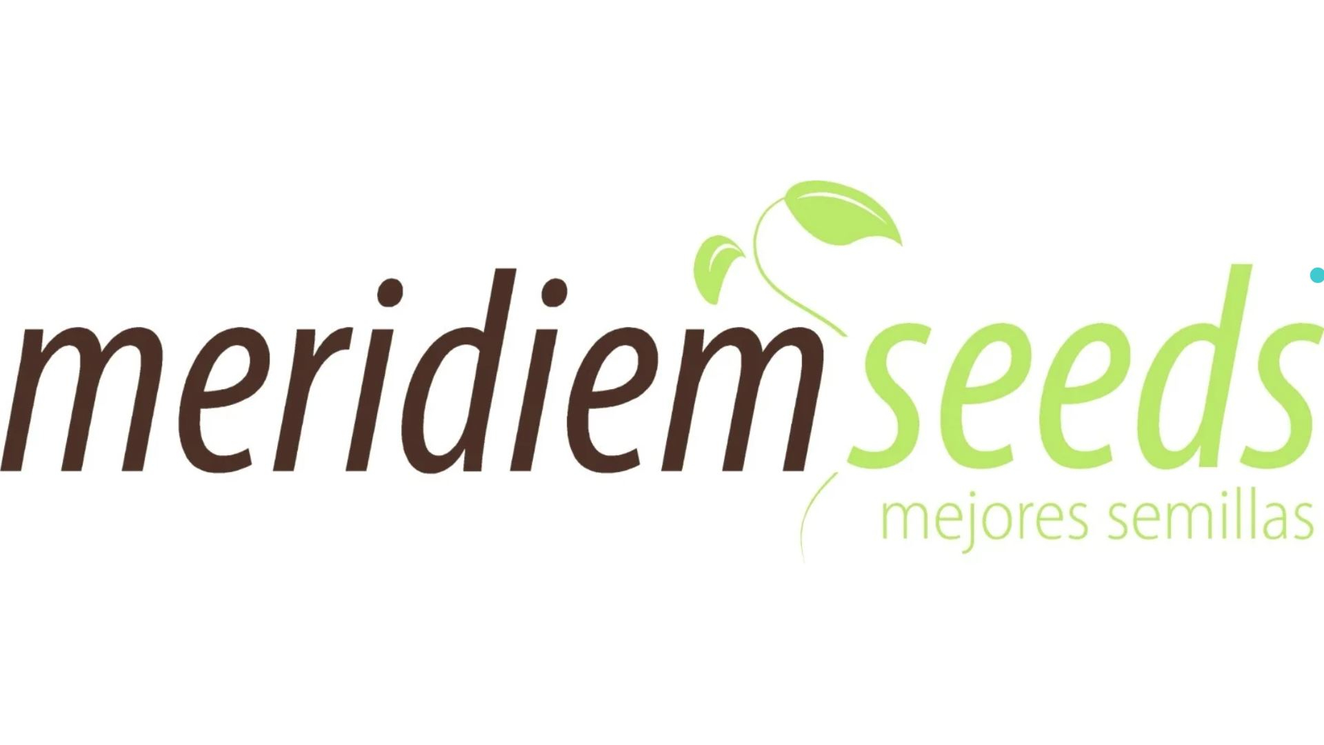 Meridiem Seeds