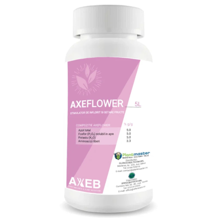Setarea florilor și a fructelor - AXEFLOWER