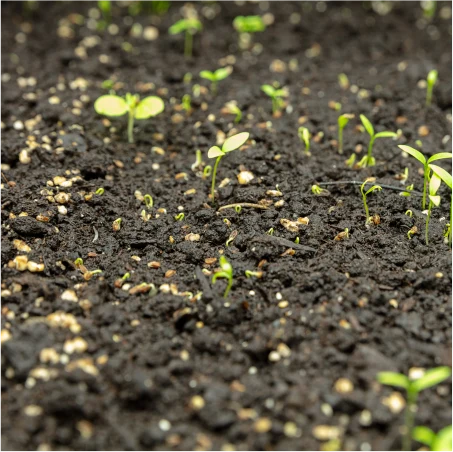 Ingrasaminte personalizate - ÎNGRĂȘĂMINTE PERSONALIZATE