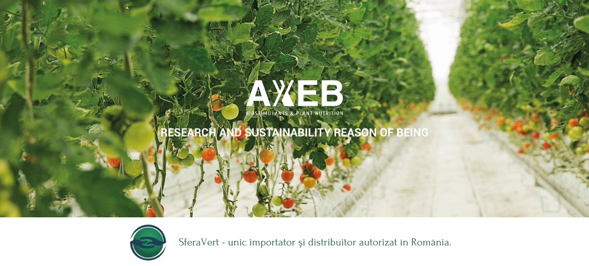 AXEB Cercetare și Sustenabilitate