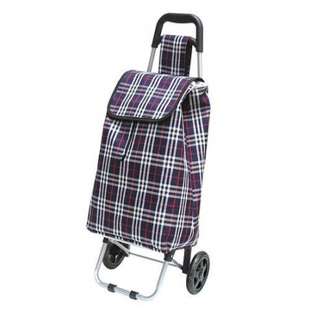 Produse EmagMarketplace - Carucior cumparaturi Gabriel, PE/PVC, max 25 kg, dimensiune 35 x 30 x 94 cm