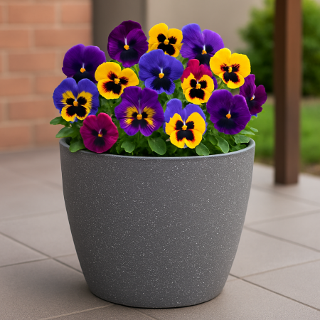 Ghiveci pentru flori din plastic rezistent, culoare gri, Stone Effect, diametru 23 cm, inaltime 20.5 cm, cu orificiu scurgere [3]