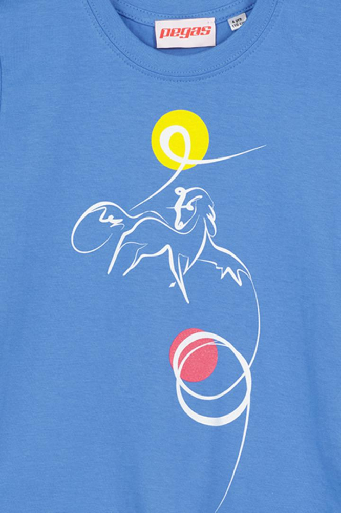 TSHIRT CASUAL C CAL PEGAS AZURE-8 [2]