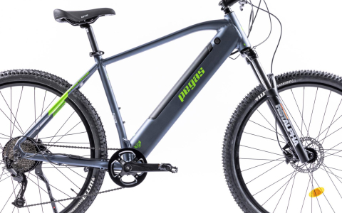 Bicicleta MTB Pegas Drumet Dinamic E-Bike. Gri Mat [2]