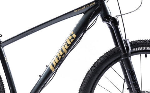 Bicicleta MTB Pegas DRUMET PRO M 29'' GRI CARBON [2]