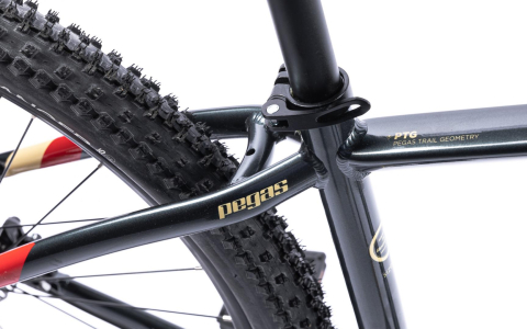 Bicicleta MTB Pegas DRUMET PRO M 29'' GRI CARBON [4]