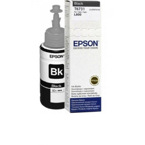 Cartuse cerneala - Cartus Epson T6731, Black