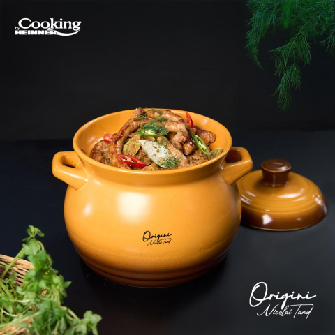 OALA CERAMICA CU CAPAC, 19x19.5 CM, 6 L, NICOLAI TAND, ORIGINI, COOKING BY HEINNER [9]