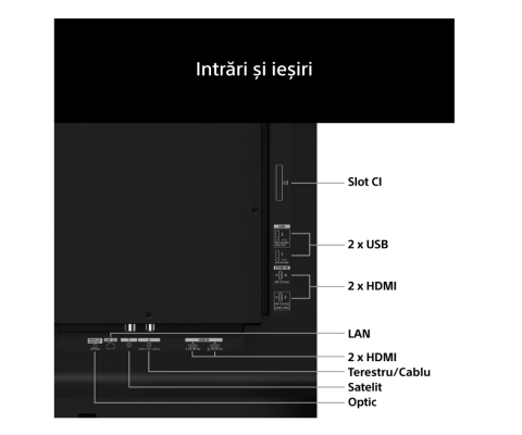 Televizor Sony BRAVIA 6 OLED 55A65, 139 cm, Smart Google TV, 4K Ultra HD, 120Hz, Clasa F (Model 2026) [6]