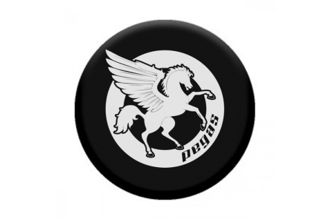 POPSOCKET [2]