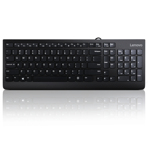 Tastaturi - Tastatura LENOVO 300, USB, Negru, EN US