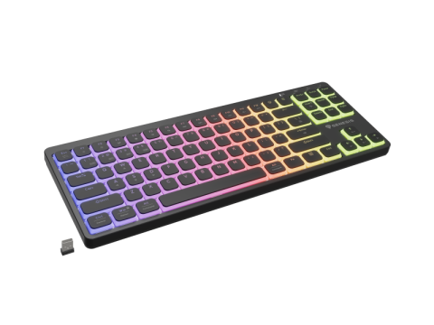 Tastaturi - Tastatura Mecanica Gaming Genesis Thor 430 TKL Wireless, RGB, Wireless, negru, EN US