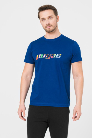 Tricouri - TRICOU LOGO MULTICOLOR BARBATI ROYAL BLUE-XL