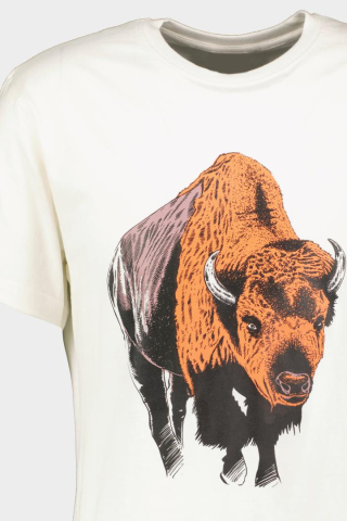 Imbracaminte si accesorii - TRICOU ZIMBRU S