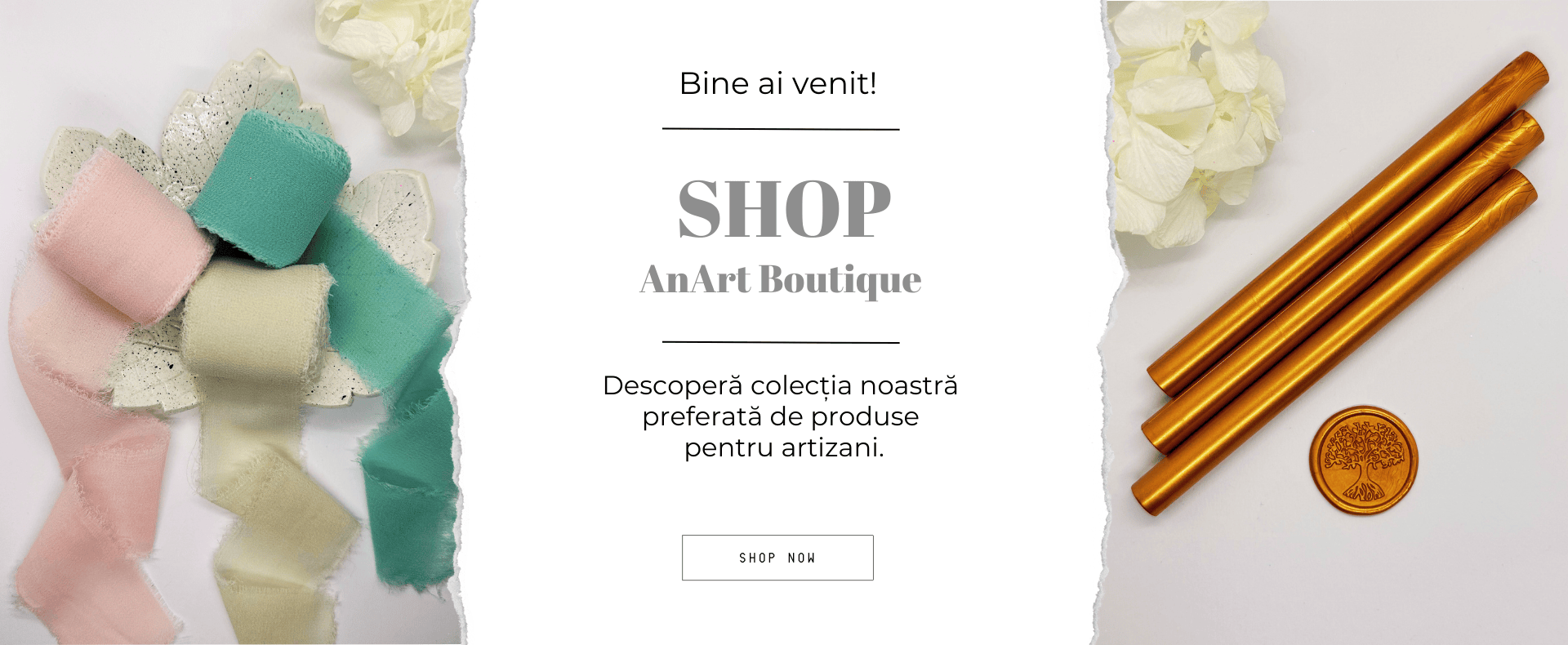 Bine ai venit