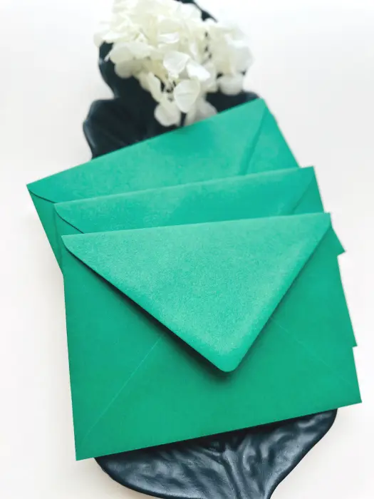 Plic Verde Pădure 115 g [2]