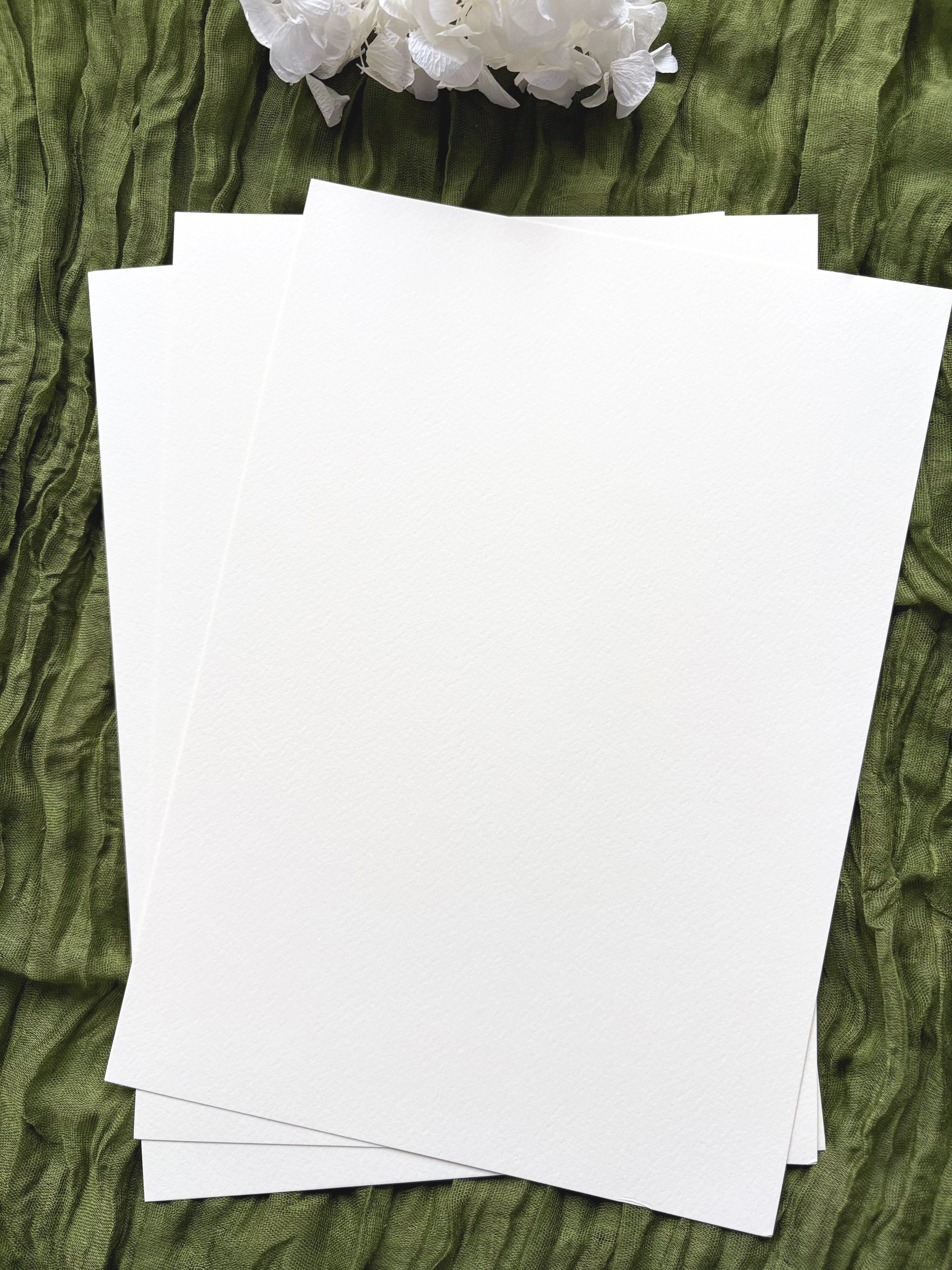 Carton texturat Tintoretto Gesso Alb - 300 gr