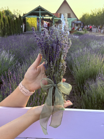 Panglică șifon texturat Sage Green pentru decor elegant | AnArt Boutique [3]