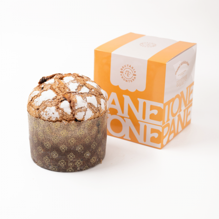 Panettone cu merișoare și ciocolată [1]