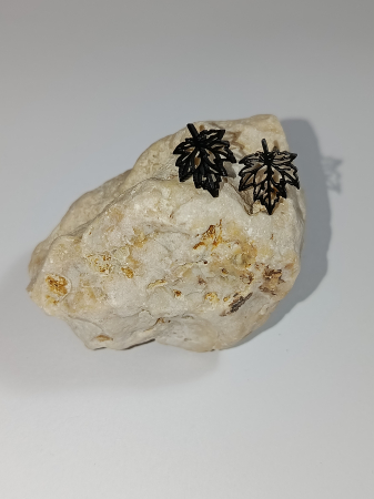 MAMA-FIICA - Ecou de Toamnă