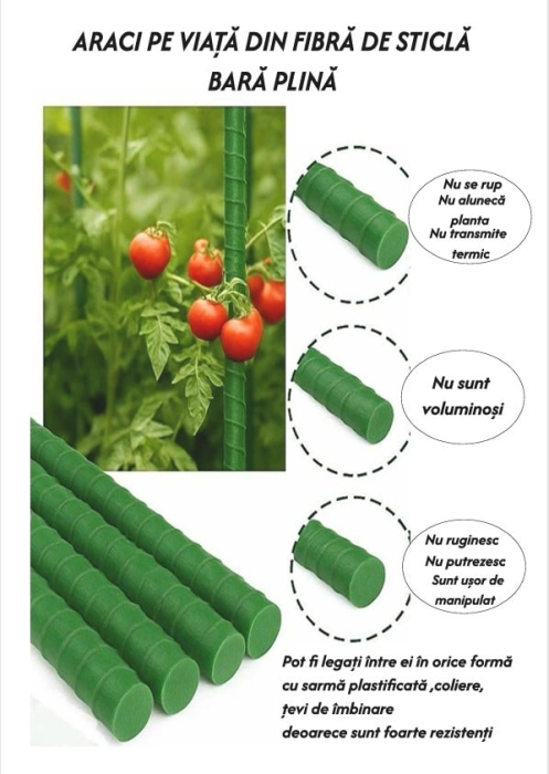 Set 25 araci/suport pentru rosii, ardei, viță de vie , din fibra de sticla (bara plina), verde, 2m x 12mm [2]