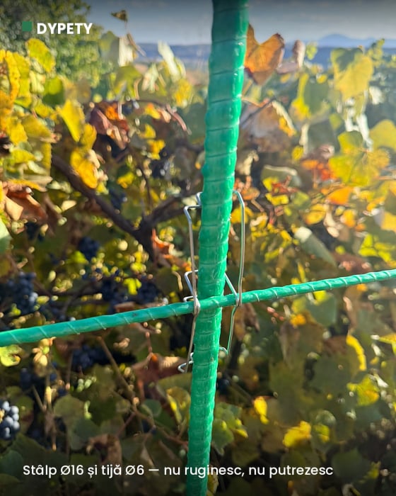 Spalier viță-de-vie din fibră de sticlă — preț pe metru [4]