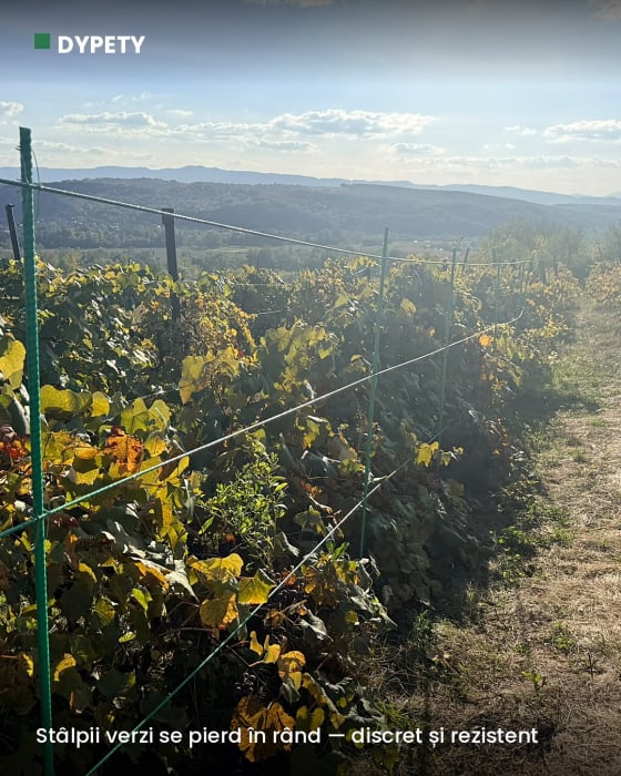Spalier viță-de-vie din fibră de sticlă — preț pe metru [5]