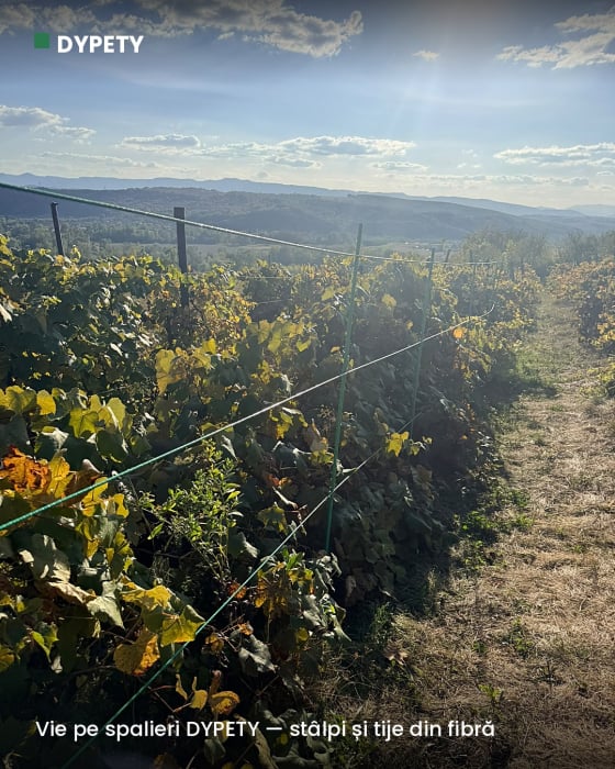 Spalier viță-de-vie din fibră de sticlă — preț pe metru [3]