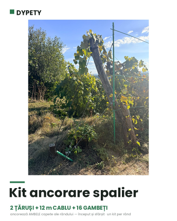 Spalieri din fibră de sticlă pentru vie și zmeur - Kit ancorare spalieri