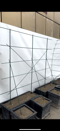 Araci din fibră de sticlă pentru grădinărit - SUPORT PLANTE 2M X 2M