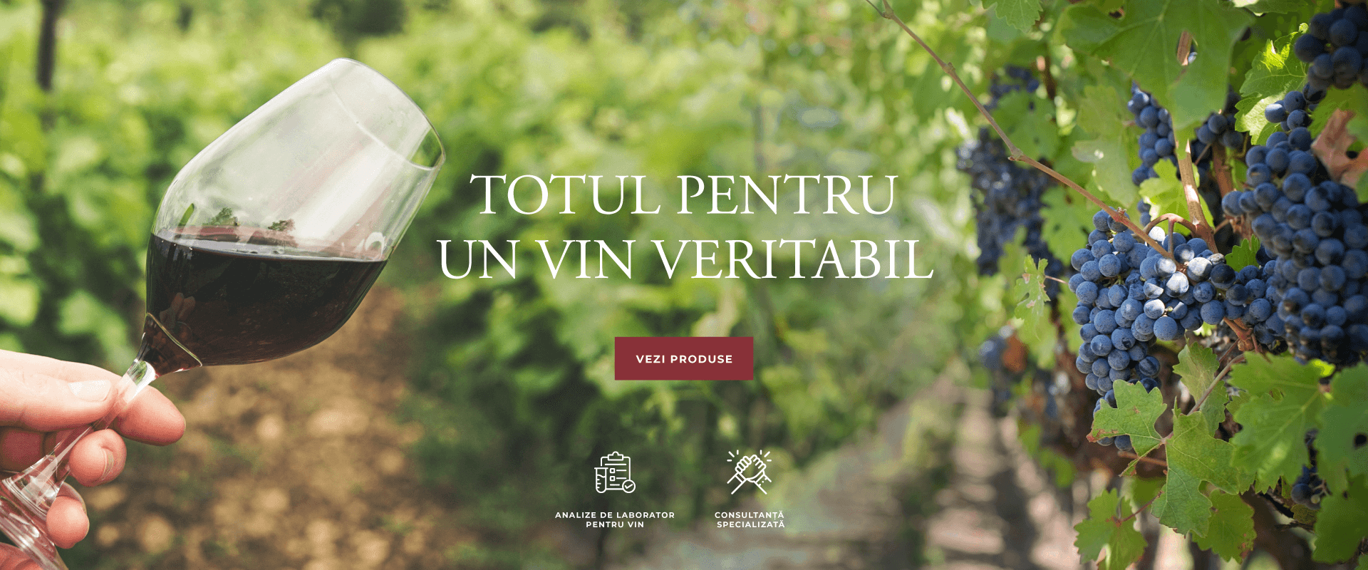 Totul pentru un vin veritabil desktop