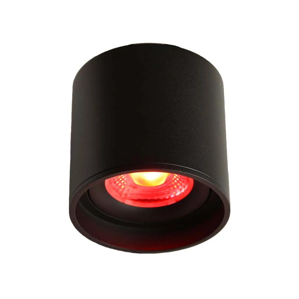 LED Ceiling Spot 24V, 8W, RGBW/2700K, CRI90 [3]