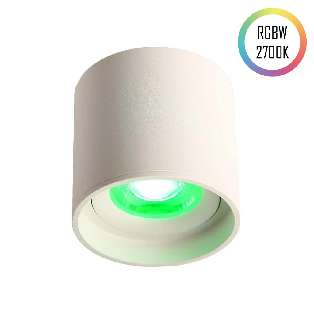 Spoturi LED Aplicate - LED Ceiling Spot 24V, 8W, RGBW/2700K, CRI90